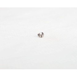 Parafuso de Abertura Peça Reta Micromotor Beltec (INOX) - Paf0001