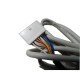 Chicote Pedal Cadeira Syncrus G1/G2 7 Vias Gnatus/Saevo - 31000000748 Chicote Pedal Cadeira Syncrus G1/G2 7 Vias Gnatus/Saevo - 31000000748